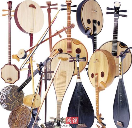 中國民族樂器教學(xué)教案(圖11)